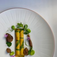 FAVA BEAN “pâte farcie”, blonde morels, lemon