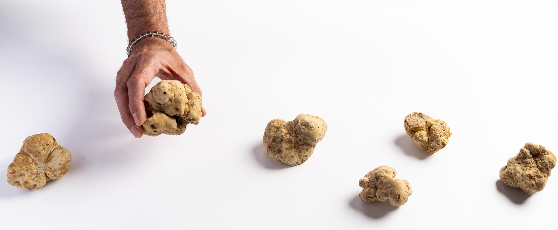 White Truffle